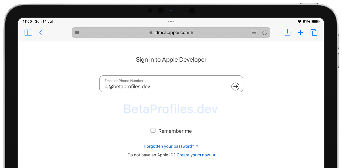 join Apple Developer Program on iPad