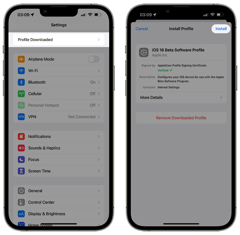 ios 14.6 beta profile download