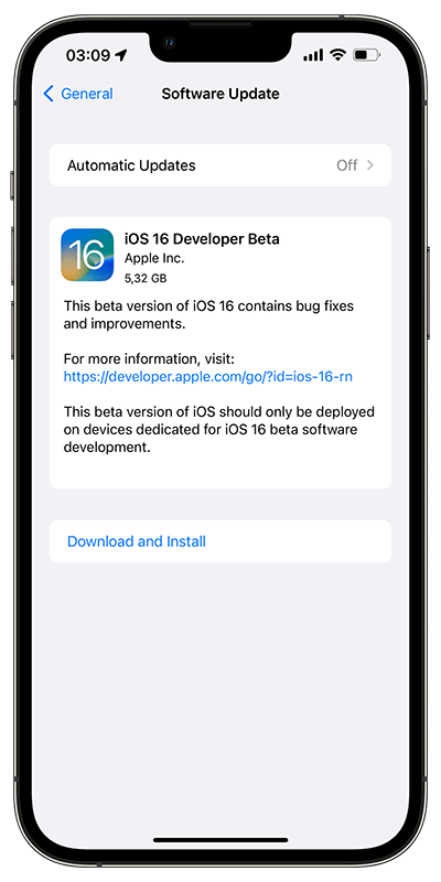 ios developer beta profile