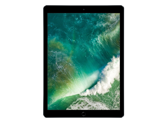 iPad Pro (12.9-inch) (2nd generation) Wi-Fi + Cellular