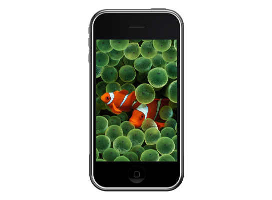 iPhone